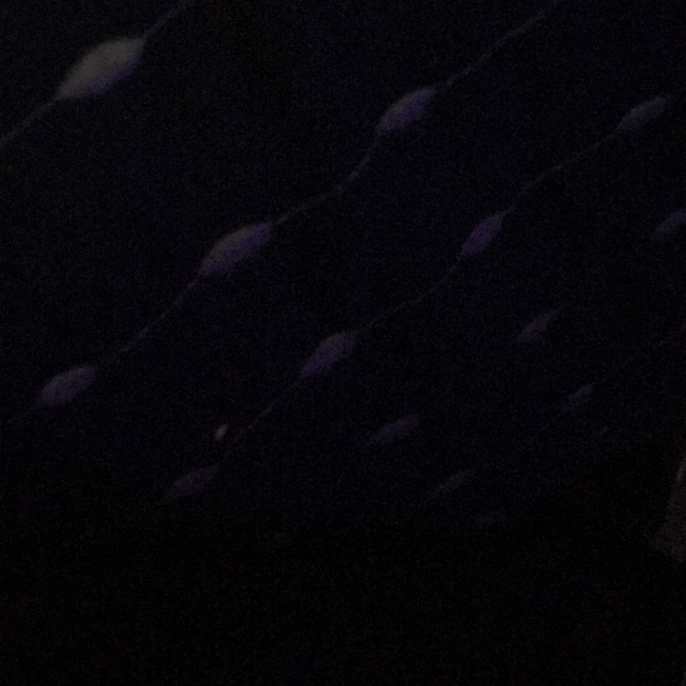 Meet your Posher, Davic